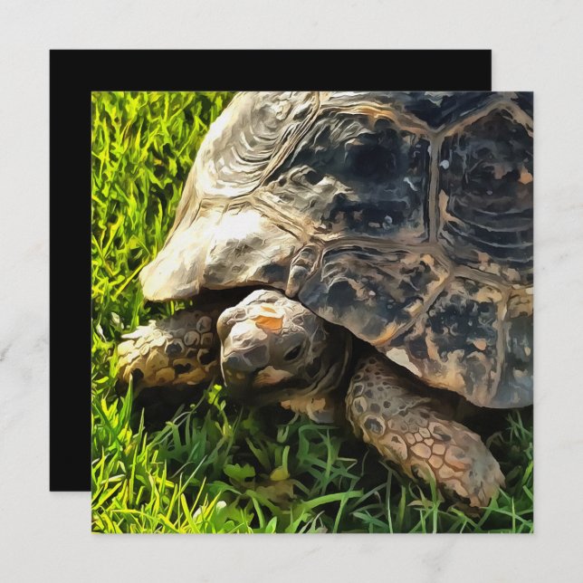 Convites Tortura Selvagem Na Arte Da Vida Selvagem De Prado (Frente/Verso)