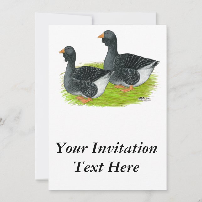 Convites Toulouse Dewlap Geese (Frente)