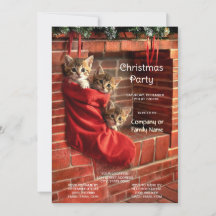 Três Gatinhos numa Festa de Natal de Meia Vermelha