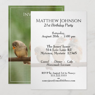 Convites Três Tuítes Fotografia de Pássaro Animal