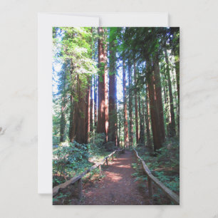 Convites Trilha de Redwood Norte da Califórnia