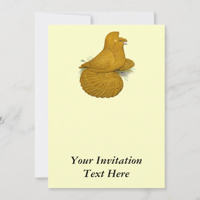 Convites Trumpeter Pigeon Amarelo (Frente)