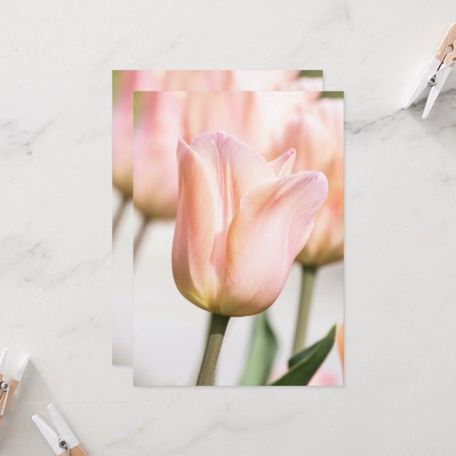 CONVITES TULIP (Frente/Verso In Situ)
