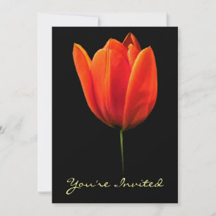 Convites Tulip