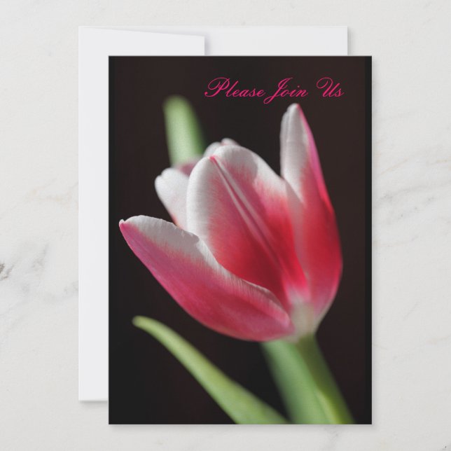 Convites Tulip (Frente)