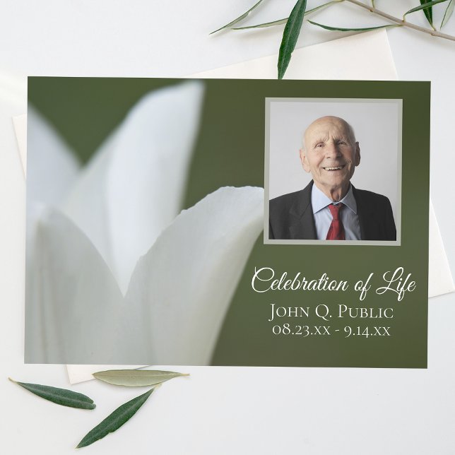 Convites Tulipa Branca da Primavera na Celebração da Vida V (Criador carregado)