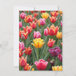 Convites Tulipas Holandesas