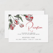 Tulipas Red and White Rembrandt