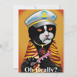 Convites  Tuxedo cat, the carefree!