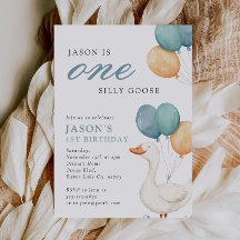 Um Bobo Festa de primeiro aniversario do Goose Boy