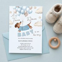 Um Churrasco de Bebê Menino Dachshund Fofo
