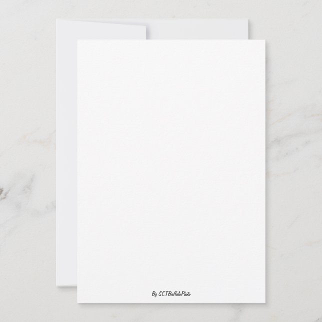 Convites Um Espetáculo Deslumbrante (Verso)