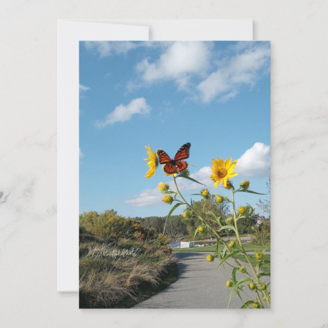 Convites Um espetáculo surpreendente (Frente)