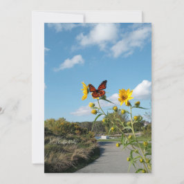 Convites Um espetáculo surpreendente