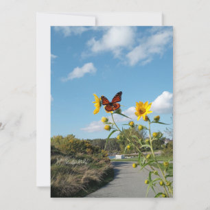 Convites Um espetáculo surpreendente