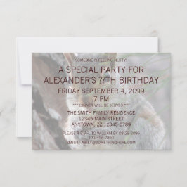 Convites Um Esquilo Bonito Com Festa de aniversário De Amen