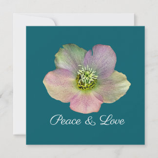 Convites Uma Hellebore, uma Rosa da Quaresma
