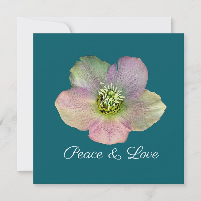 Convites Uma Hellebore, uma Rosa da Quaresma (Frente)