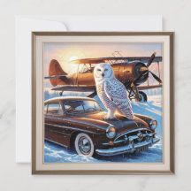 Uma uva de neve, um avião e um carro vintage