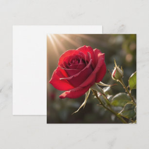 Convites Uma vibrante rosa vermelha, simbolizando amor e pa