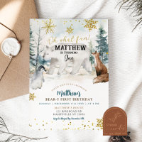 Urso Polar Ártico Inverno Um Aniversário