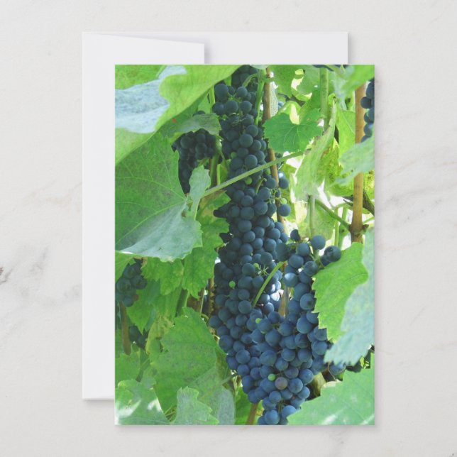 Convites Uvas Azuis (Frente)