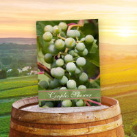 Uvas verdes Casais de vinhedo Provando de vinho Ch