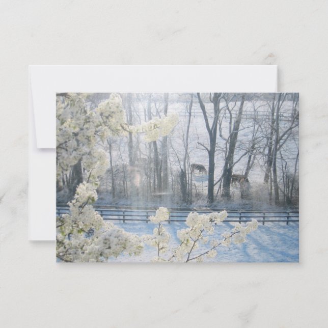 Convites Vacas em campo no inverno (Frente)