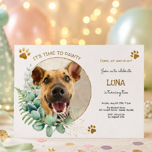 Convites Vamos, festa de aniversário de cão