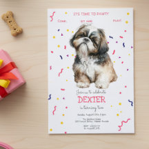 Vamos, festa de aniversário de cão