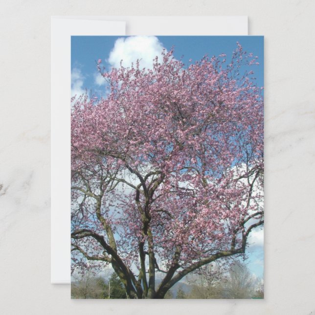 Convites vazio, cerejeira florida (Frente)