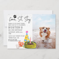 Venha Sentar-Se Ficar Cachorro Festa de Foto de An