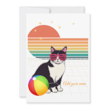 Vibrações de Gato Legal ao Pôr do Sol
