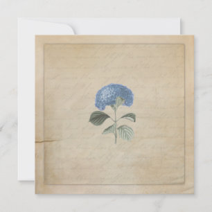 Convites Vintage Blue Hydrangea Cerimônia de Casamento Per