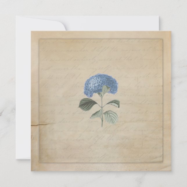 Convites Vintage Blue Hydrangea Cerimônia de Casamento Pers (Frente)