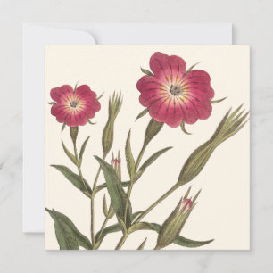 Convites Vintage Botânica Birthday para Lady Gardener