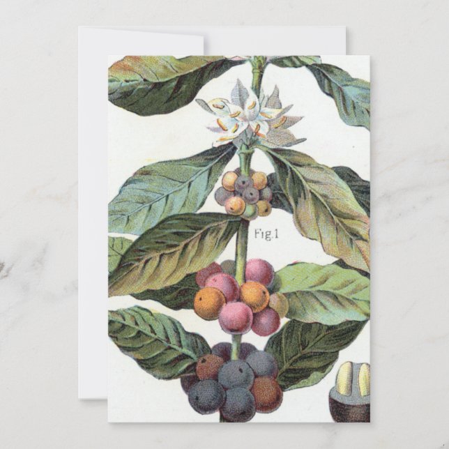 Convites Vintage Café Trabalho de arte (Frente)