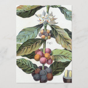 Convites Vintage Café Trabalho de arte