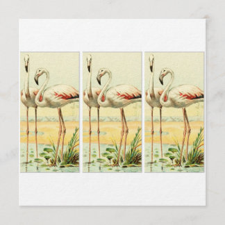 Convites Vintage Flamingo