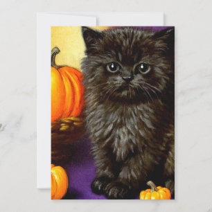 Convites Vintage Halloween Kitten