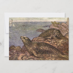 Convites Vintage Harbor Seals, Marine Life Ocean Animal