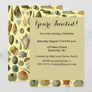 Convites Vintage Mollusk Shell Seashell Art