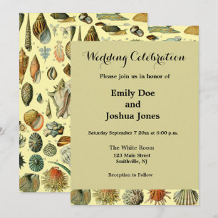 Convites Vintage Mollusk Shell Seashell Art