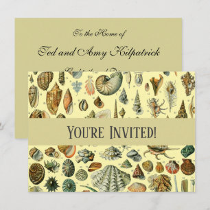 Convites Vintage Mollusk Shell Seashell Art