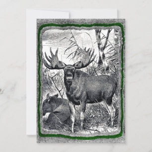 Convites Vintage Moose modelo