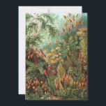 Convites Vintage Muscinae, Moss Vegetais de Ernst Haeckel<br><div class="desc">Fácil de personalizar,  basta clicar no botão "personalizar" e usar as ferramentas de design para criar um convite ou anúncio exclusivo. Ilustração Vintage da natureza design botânica de Ernst Haeckel. Uma variedade de musgos coloridos,  gramíneas e outras plantas tropicais exóticas numa selva de floresta tropical.</div>