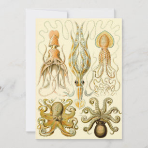 Convites Vintage Octopus Squid por Ernst Haeckel Invitation