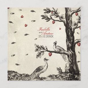 Convites Vintage Peacocks no Amor - casamento