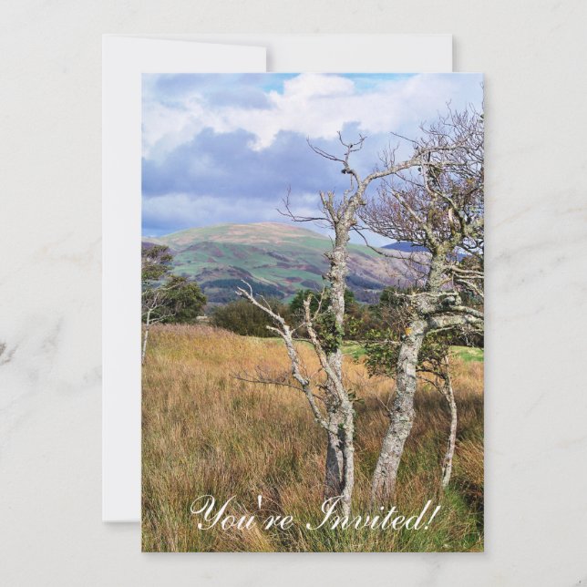 CONVITES VISÕES DAS PAREDES (Frente)