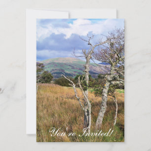 CONVITES VISÕES DAS PAREDES